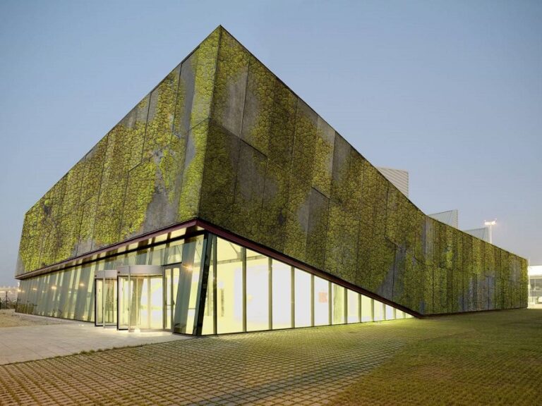 Claudio Antonio Ramírez Soto - Hormigón biológico; Nuevo material ecoamigable en la industria de la construcción - FOTO