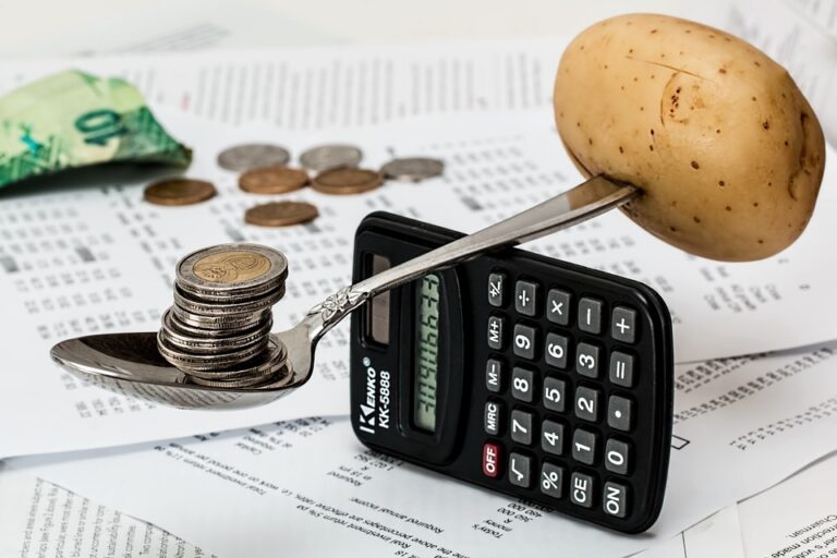 Cómo influye la inflación en la economía doméstica