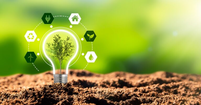 La innovación sustentable como parte de la Responsabilidad Social Empresarial – Fundación Yammine