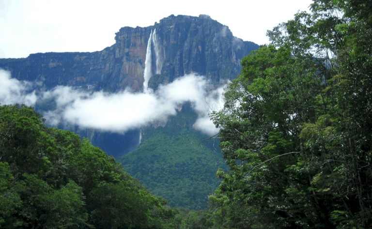 Problemas ambientales por los cuales atraviesa el Parque Nacional Canaima