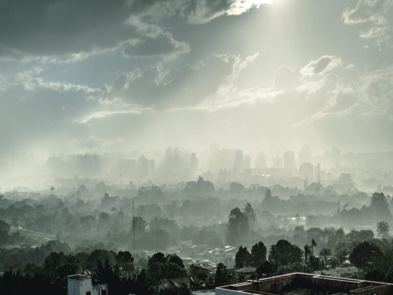 Fundación Yammine - Contaminación del aire; Causas y consecuencias - FOTO