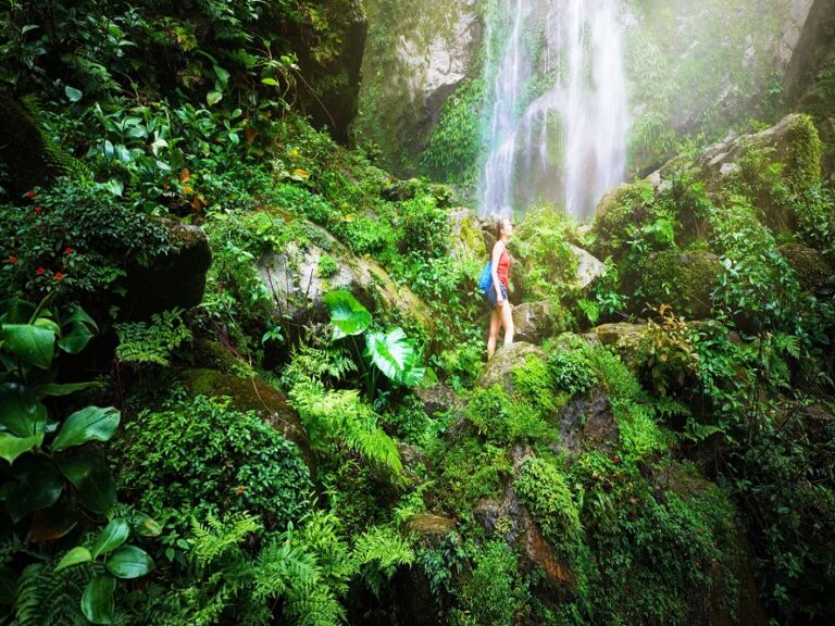 Tadeo Arosio - Ecoturismo; Cuál es su verdadera importancia - FOTO