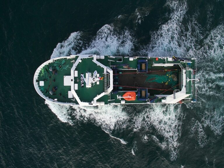 Anahid Bandari de Ataie - Digitalización del sector naval ¡Importancia de cara a un futuro sostenible! - FOTO