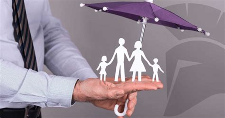 Pólizas de seguros para pequeñas empresas ¿Qué opciones existen? - Hjalmar Gibelli