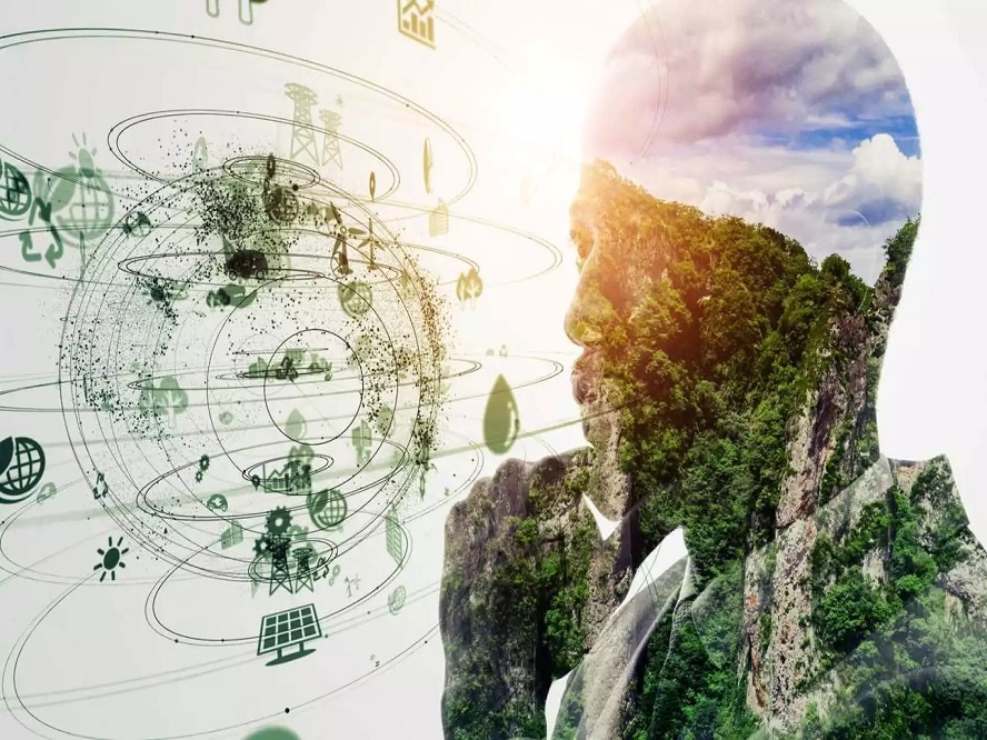 Bernardo Arosio - ¡Entérate! Estas son las diferencias entre los términos sustentable y sostenible - FOTO