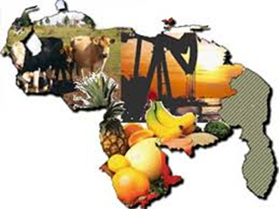 camilo ibrahim issa - Camilo Ibrahim Issa | ¿Conoces cuál es la importancia del comercio en Venezuela?