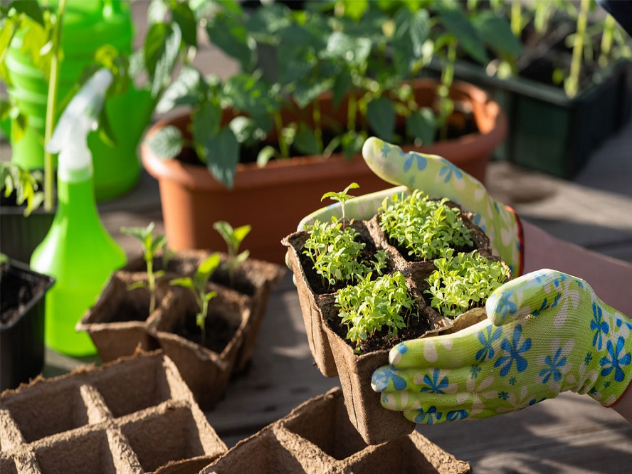 Fundación Yammine - Jardín Ecológico ¡La manera ideal de minimizar el impacto ambiental! - FOTO