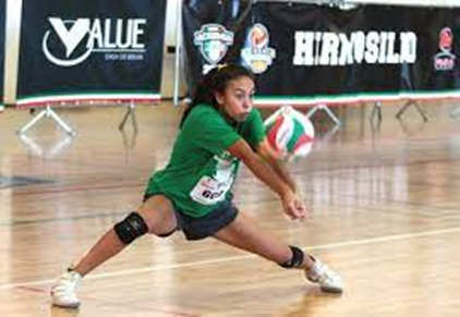 image 1 4 - Estrategias para la detección de talentos deportivos en el voleibol