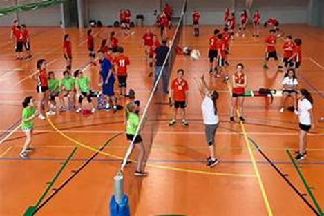 image 1 5 - Estrategias para la detección de talentos deportivos en el voleibol