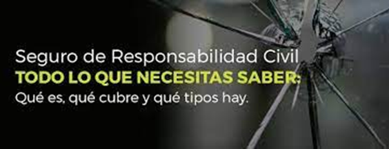 Qué es un Seguro de Responsabilidad Civil para Empresas y por qué es Importante Tenerlo: Protegiendo tu Negocio ante los Riesgos image 5 - Qué es un Seguro de Responsabilidad Civil para Empresas y por qué es Importante Tenerlo: Protegiendo tu Negocio ante los Riesgos