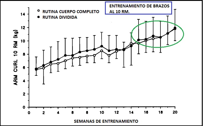 Sebastian Cano Caporales: 3 formas de organizar tu Entrenamiento de Fuerza – Corporal Kinesis brazos - Sebastian Cano Caporales: 3 formas de organizar tu Entrenamiento de Fuerza – Corporal Kinesis