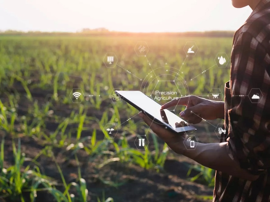 Juan Fernando Serrano Ponce - ¡Entérate! 10 tips para posicionar una empresa agropecuaria en el mundo digital - FOTO