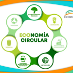 Carlos Cestari Infantini | Economía Circular como Negocio