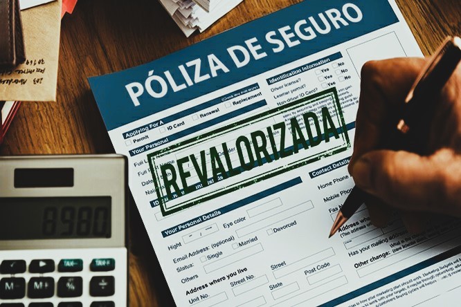 Ligia Carolina Gorriño Castellar - Revalorización de pólizas; El escudo que crece con tus bienes - FOTO