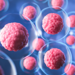 Froilán Heriberto Páez Salazar