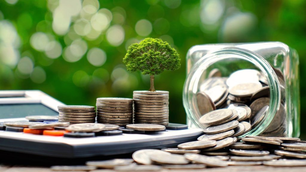 Carlos Alessandro Cestari Infantini | Finanzas Sostenibles