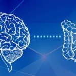 5 Claves de Mariangel Arruebarrera Loreto para Cuidar tu Segundo Cerebro