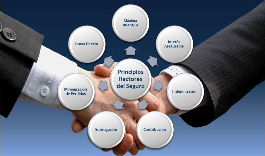 Los 7 principios del seguro por Hjalmar Gibelli